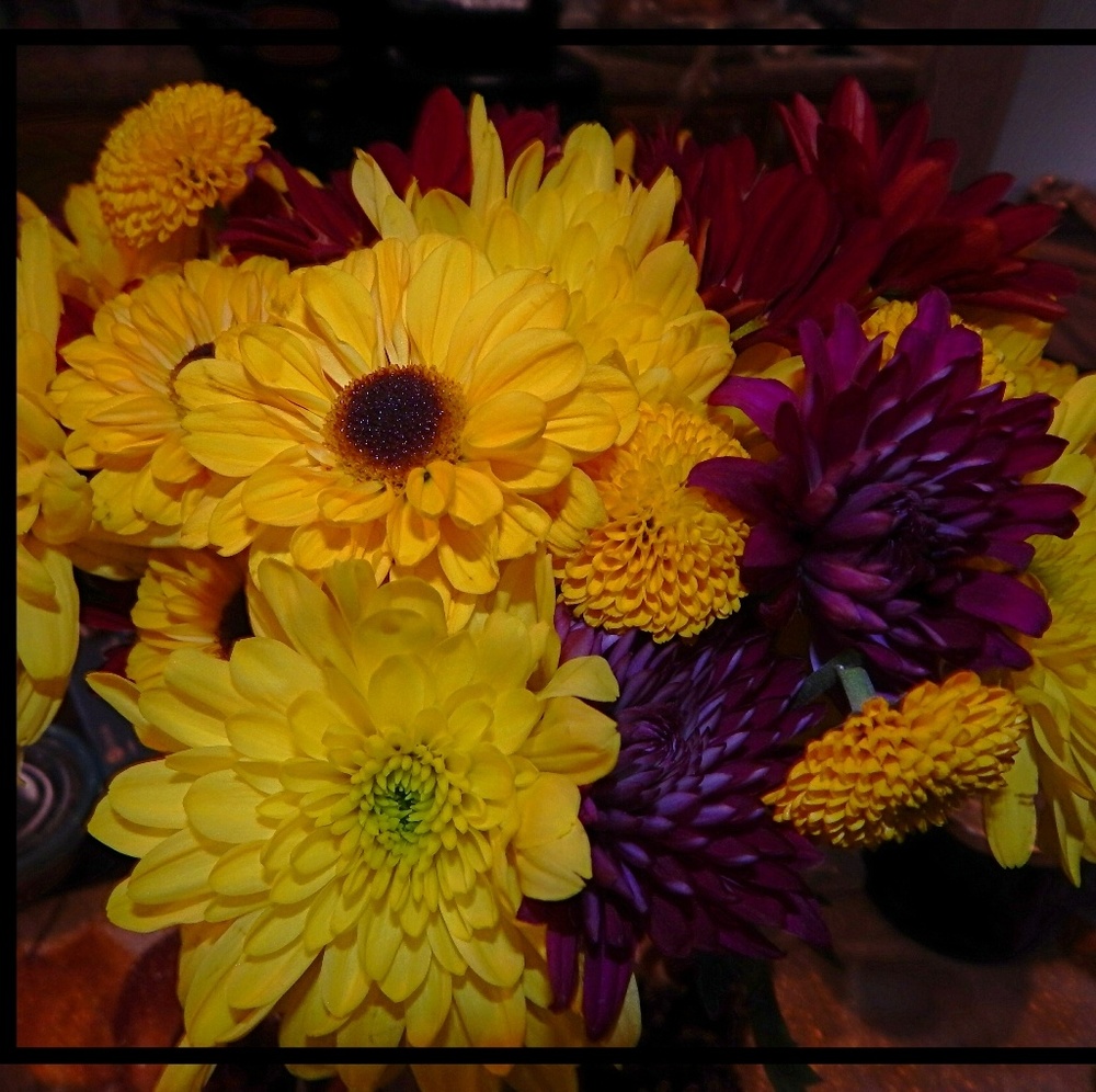 Meet your Posher, Suzy